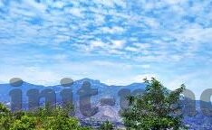 大象传媒app苹果-苹果应用新宠，大象传媒app的独特魅力