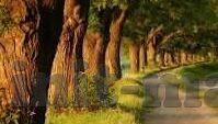 激情 人妻 都市 校园-激情燃烧的都市校园，人妻的另一面