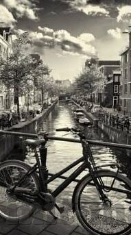 麻豆传媒网站-理性反思，互联网信息选择的自导航