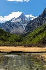 麻豆传媒亚洲-麻豆传媒亚洲——连接梦想与现实的动态视觉桥梁