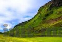 免费无码中文字幕a级毛片-网络世界的边界与选择，理性审视免费无码中文字幕A级毛片现象