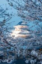 糖心app类似的软件-坦白面对数字时代的多面诱惑，以糖心App为代表的现象探讨