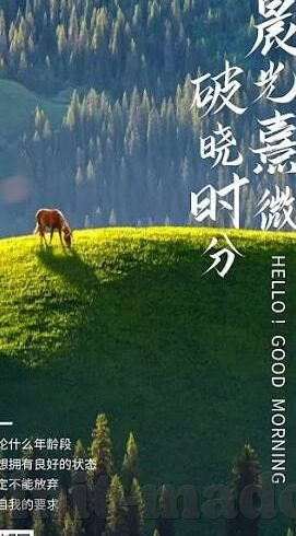 糖心vlog官网免费-糖心Vlog，记录生活，分享无界的免费用心