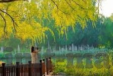 天美麻豆视频-探索天美麻豆视频，虚拟与现实的精彩交融